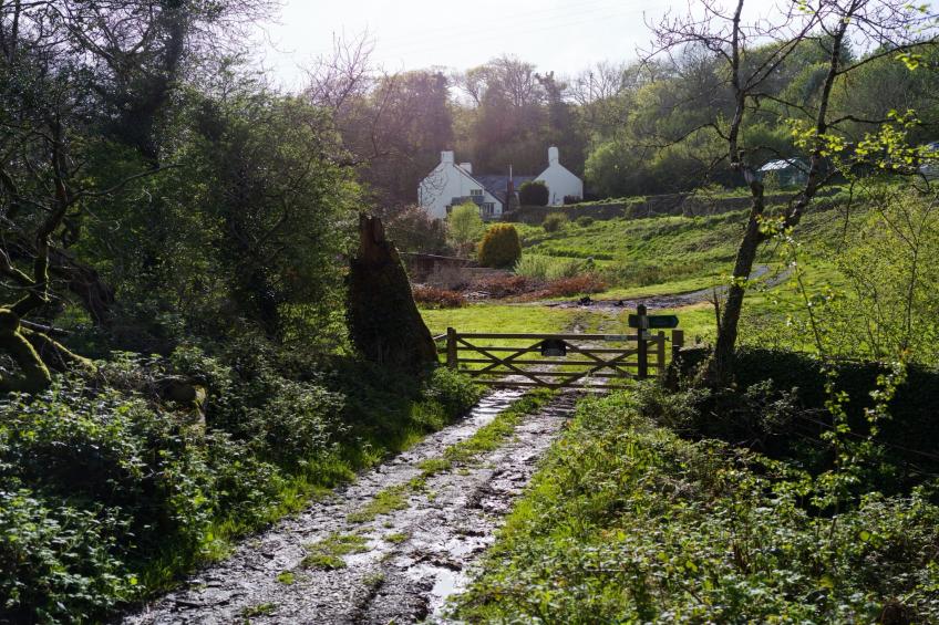 Lower Aylescott Farmhouse - foto 34