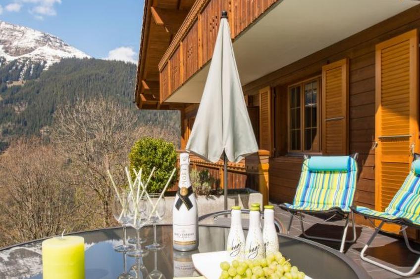 Chalet Panorama - foto 20