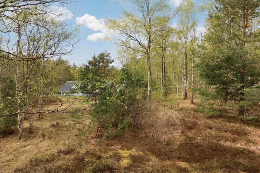 BF-WTG2V - foto 33