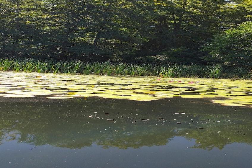 Dom nad jeziorem Mausz - foto 28