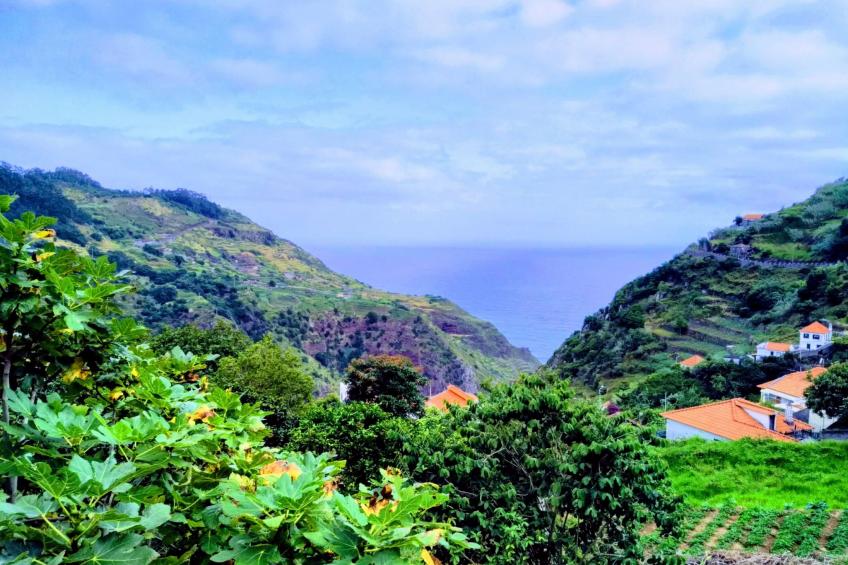 Quinta do Serrado - foto 31