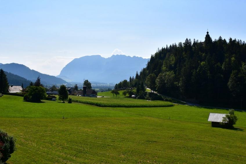 774167 - foto 10