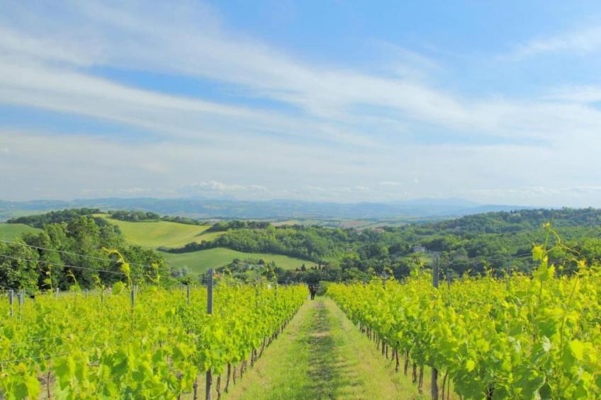 La Sibilla - foto 10