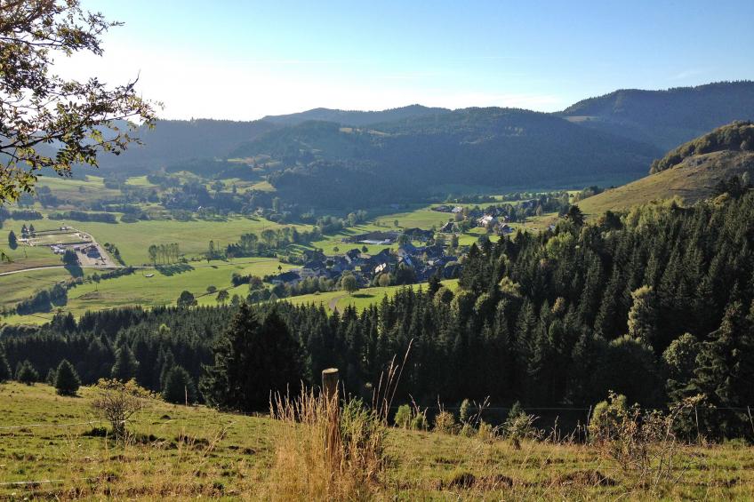 Wannenhof großzügig - foto 55