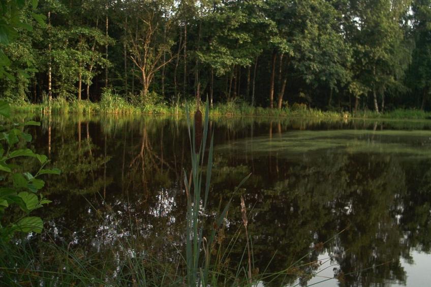 Fewo Stricker 33 - foto 37