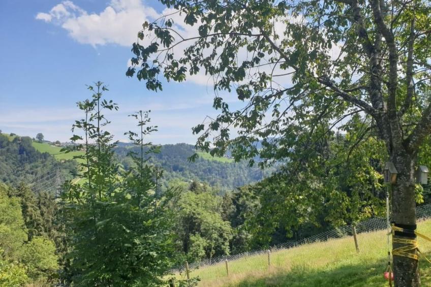 Landhaus Speicher - foto 28