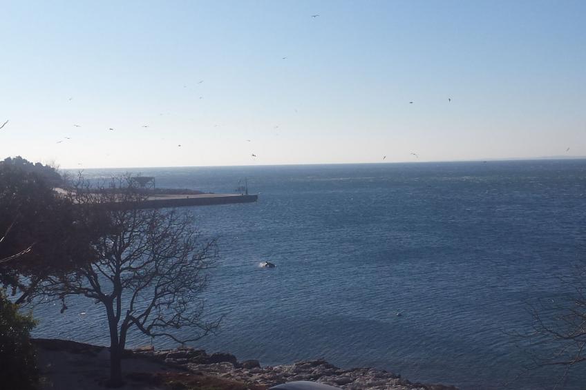 Sea apartment - foto 36