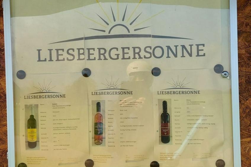 Giselas Ruheplatz - foto 21