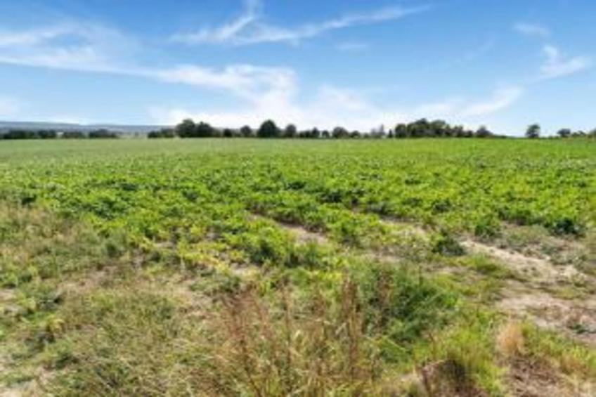 Bernardushoeve - NR13 - foto 27