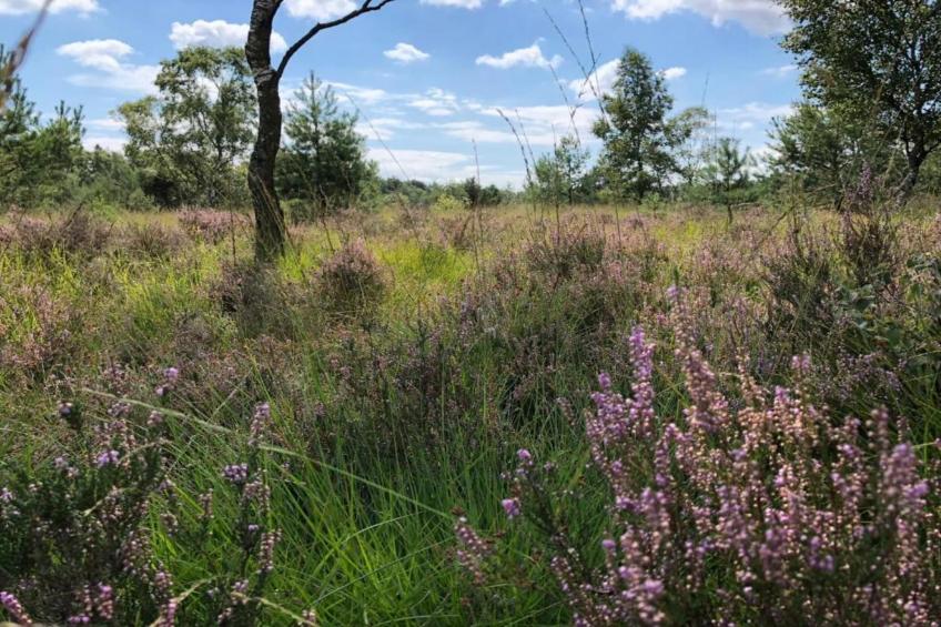 Ferienresort Bad Bentheim 36 - foto 24