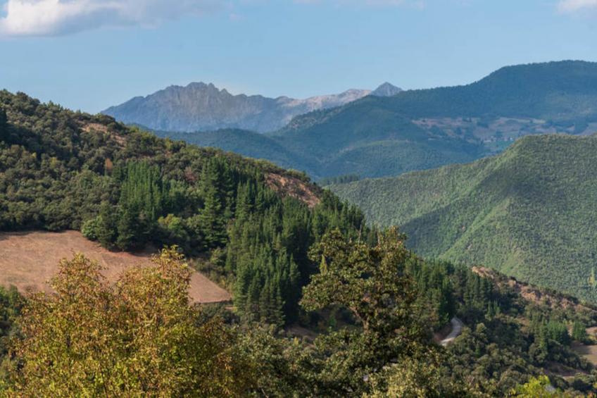 Maison à Cabezon de Liebana Cantabria - foto 20