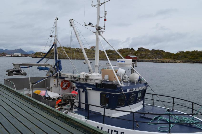 39224 - SKARSJØ BRYGGE - foto 13