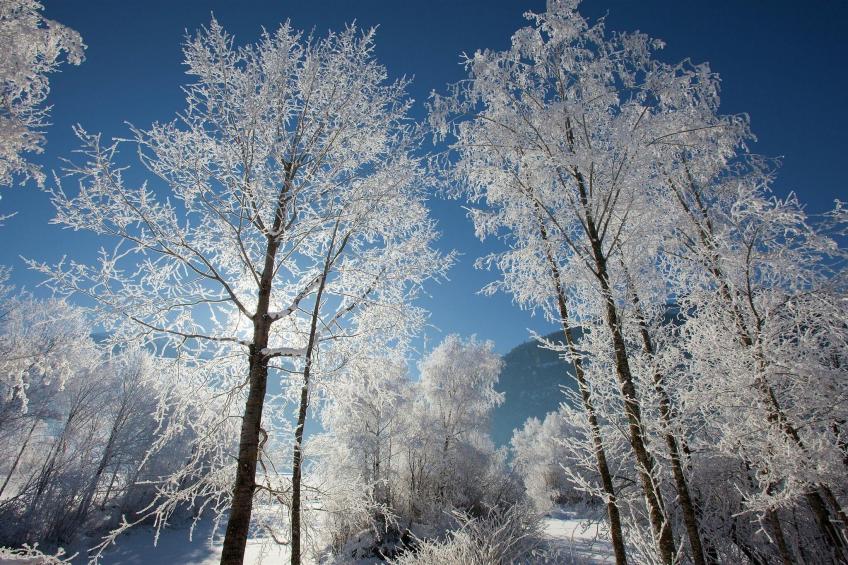 Apartment 5 mit Balkon /Hollersbach - foto 24