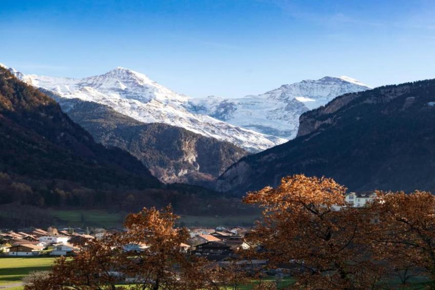 Haus Zumbrunn - foto 21