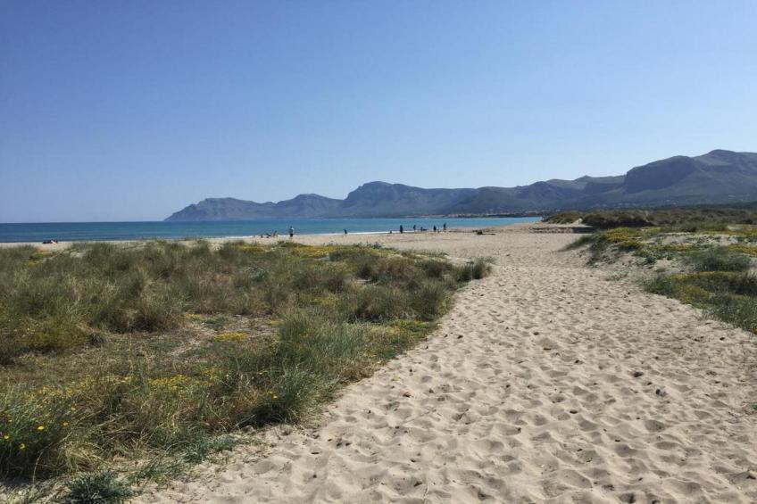 Domus Genti, Villa 5StarsHome Mallorca - foto 39