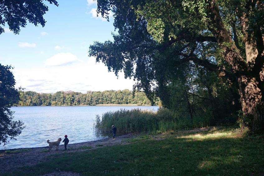 Schaalsee - Auszeit - foto 41