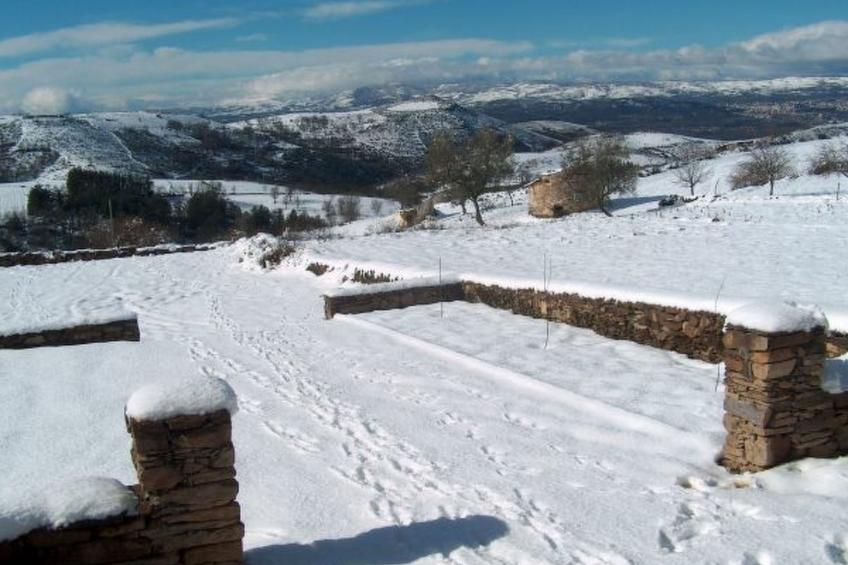 CASA LUIS GONZAGA - DESEMBARGADOR by VACATIONY - foto 12