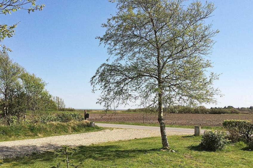 BF-ZTYK2 - foto 3