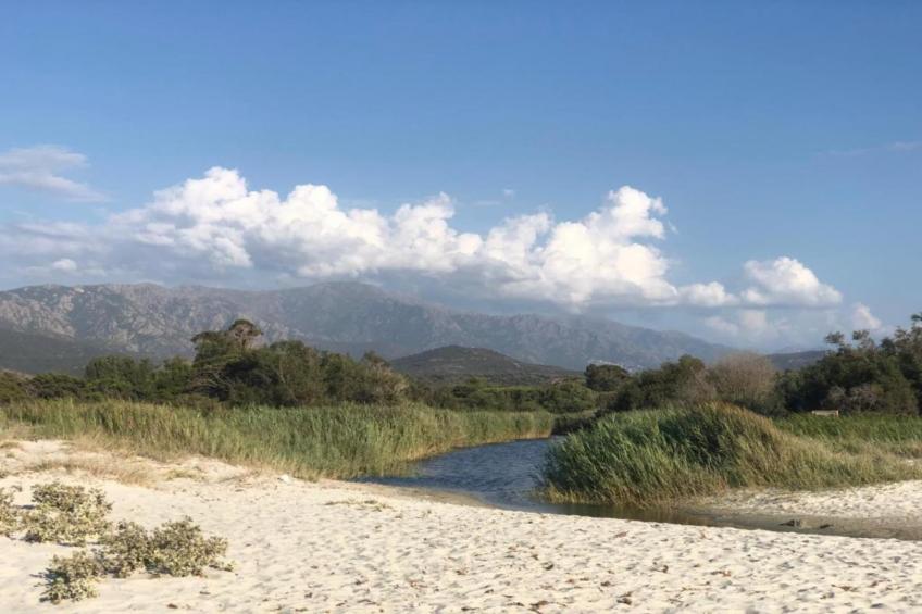 Résidence-Club les Villas Bel Godère - foto 20