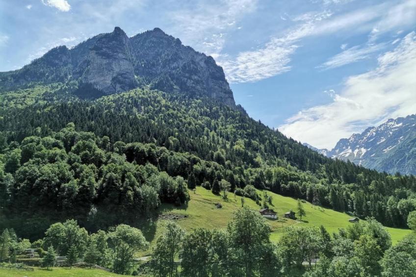 Gemütliche FeWo - foto 14