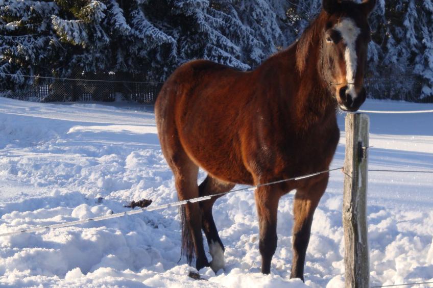 Vogtlandresidenz - foto 21