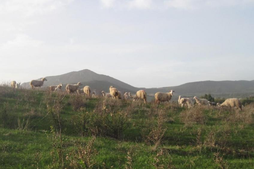 Su Sole de Barega - foto 22