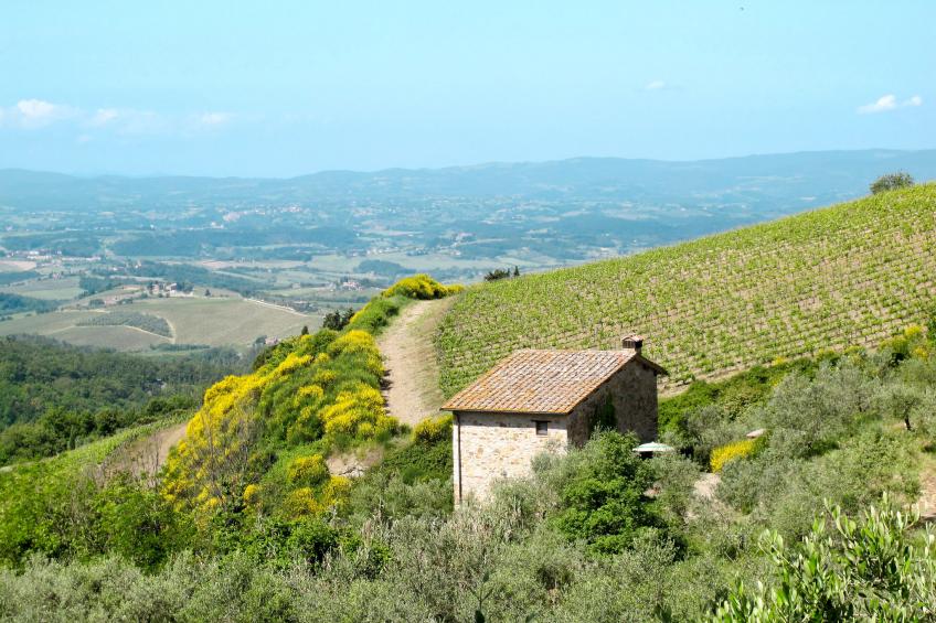 Podere Cellole (CTC154) - foto 2
