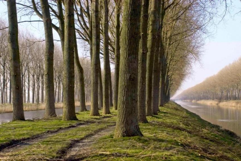 De Reus van Horebeke - foto 27