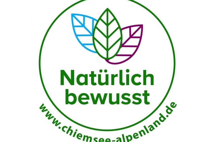 520756 - foto 35