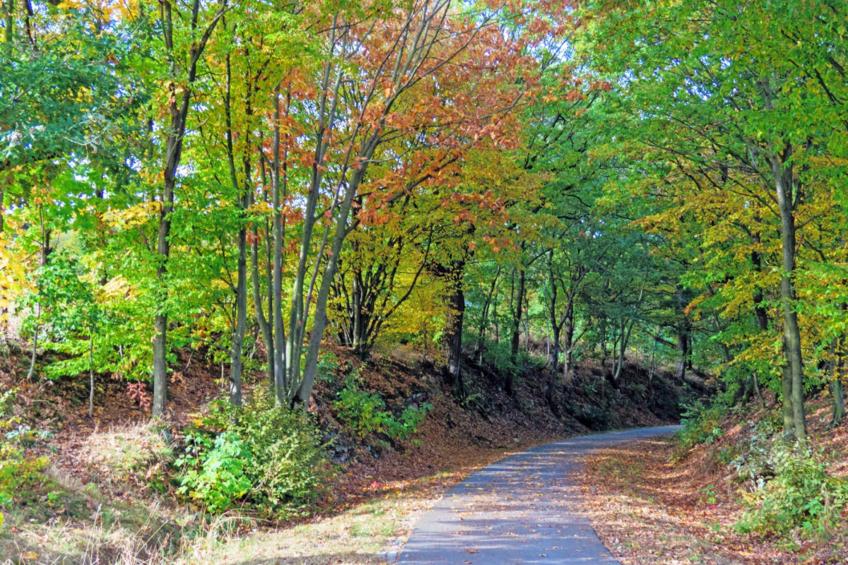 Ferienwohnung Freital - Dresden - foto 13