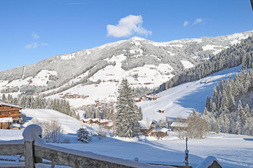 Hacklerhof Top 1 - foto 39