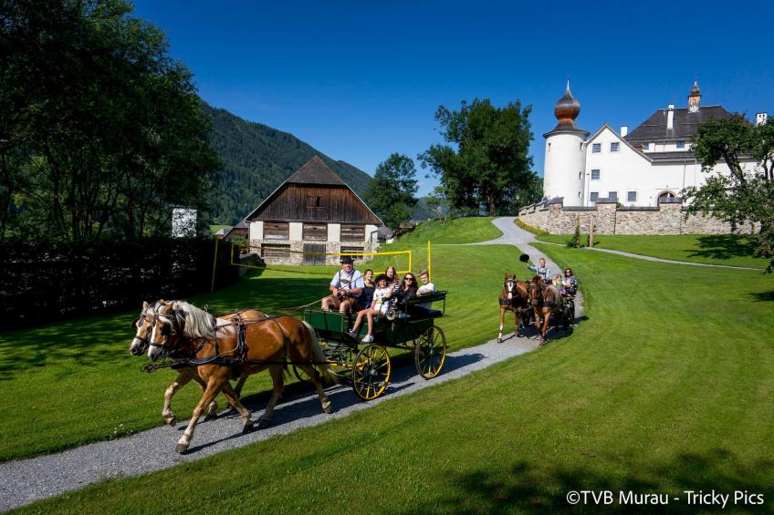 Ferienpark Kreischberg 15 - foto 17