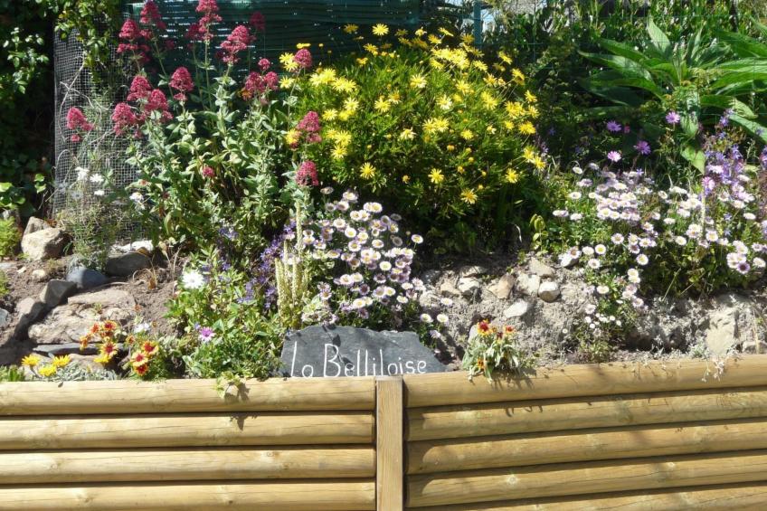 mit Blick auf das Wasser - foto 34