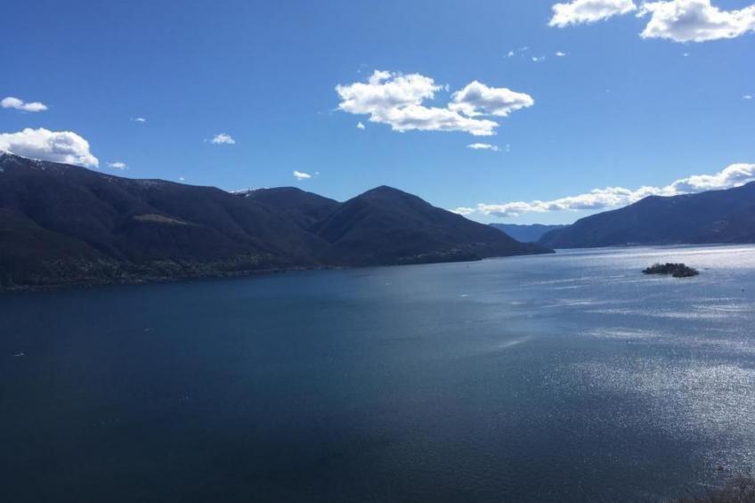 Casa Viola - foto 15