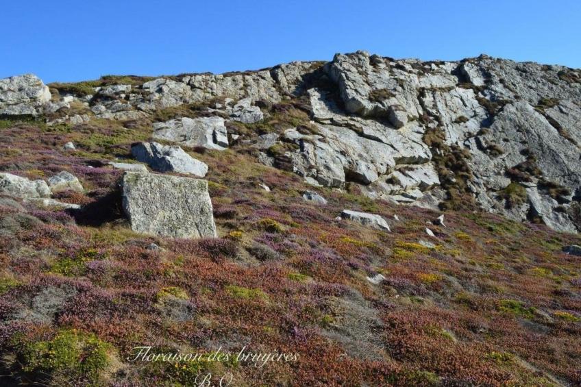 mit eigenem Garten und Grill - foto 26