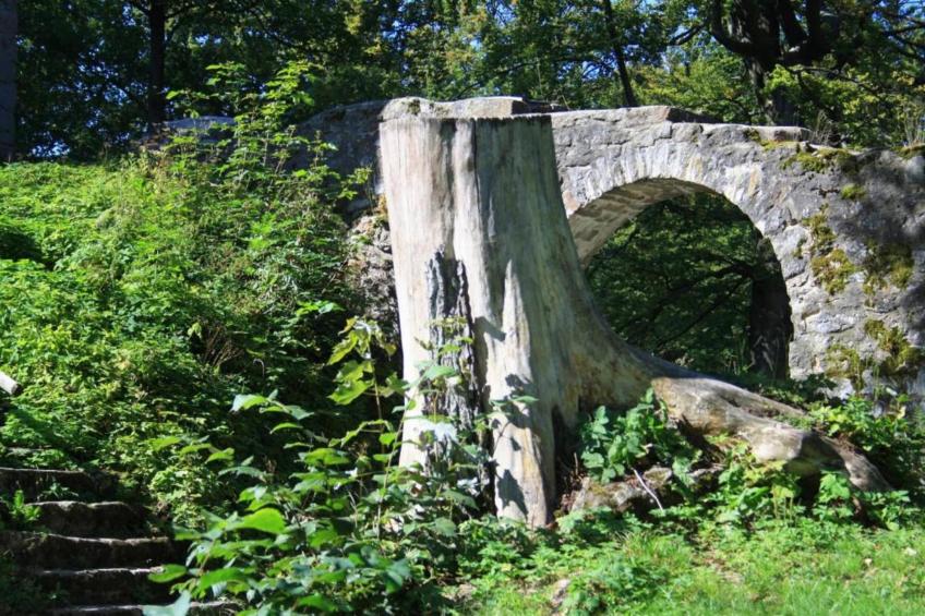 FERIENDORF SEEBLICK - Tiny Chalet am Eixendorfer See - foto 31