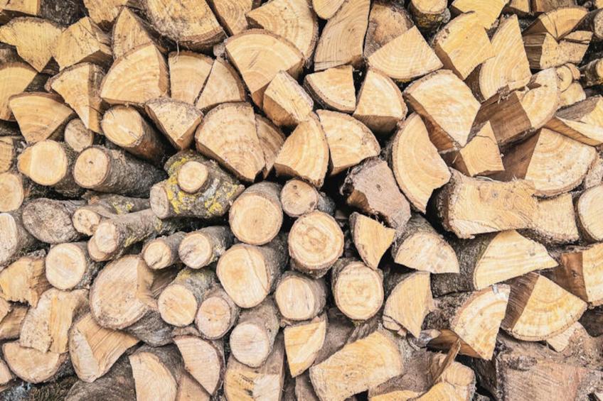 Appartements à Montagut i Oix - foto 22