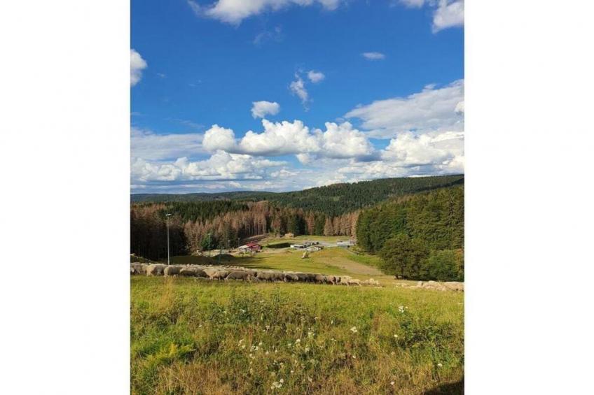 Thüringer Wald - foto 36