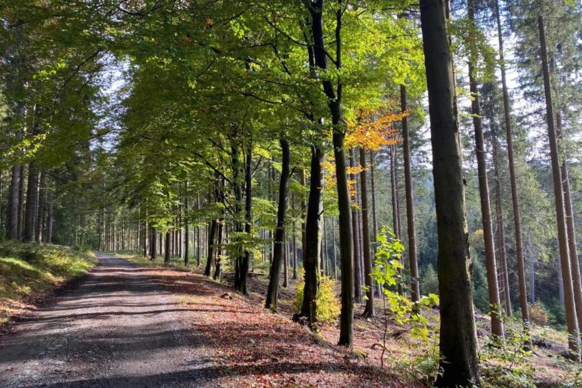 Bergresort Winterberg - foto 25