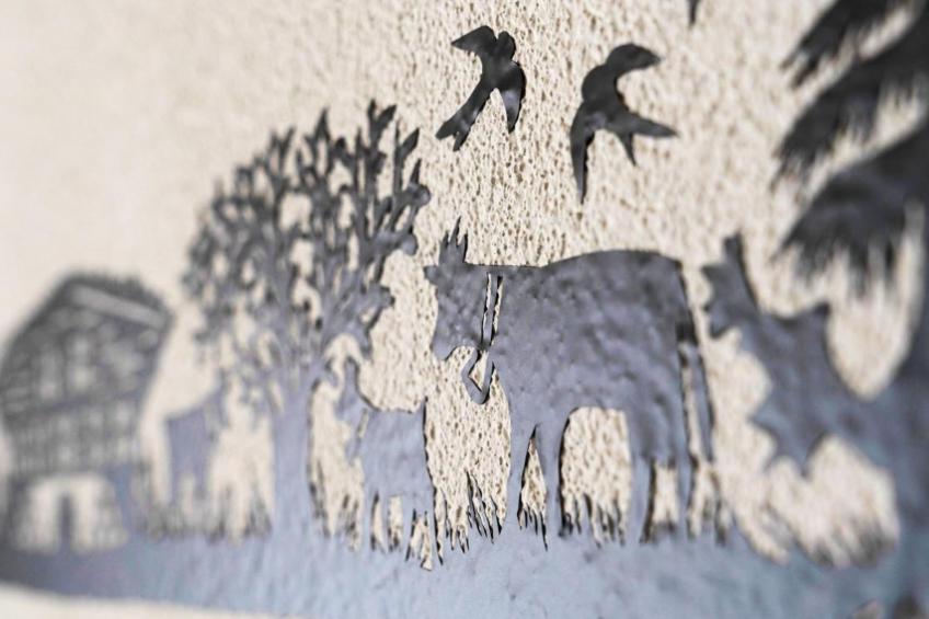 Eggenhof Ferien - foto 10