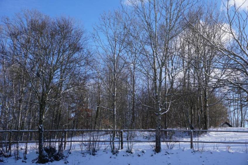 Bayerischer Wald - foto 16