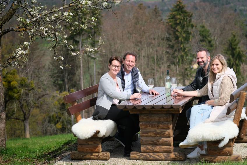 Appartement Apollo in der Wohlfühloase am Trausdorfberg mit Sauna Whirlpoolnutz - foto 35