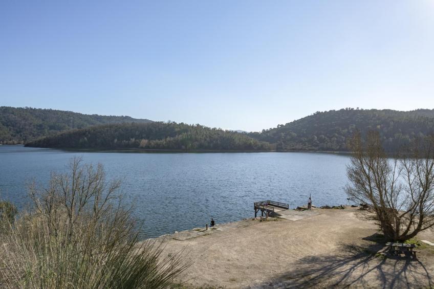 Les Demoiselles - foto 36