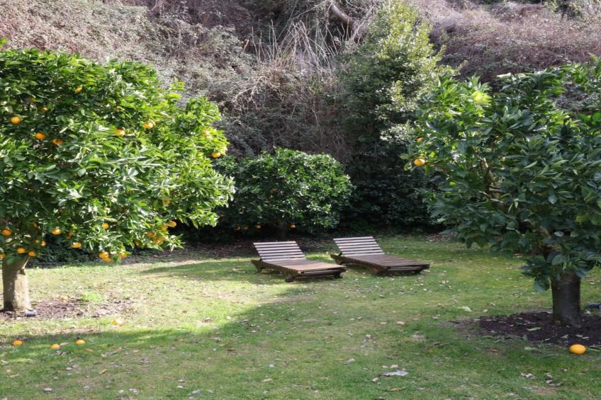 Villa Vinarte - foto 47