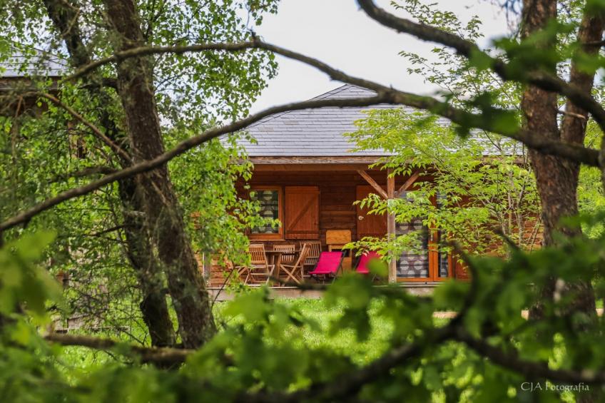 Le Domaine des Monédières 1P4V - foto 31