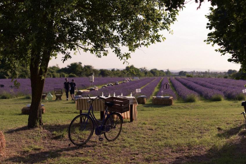 'Molinello albicocco' - foto 10