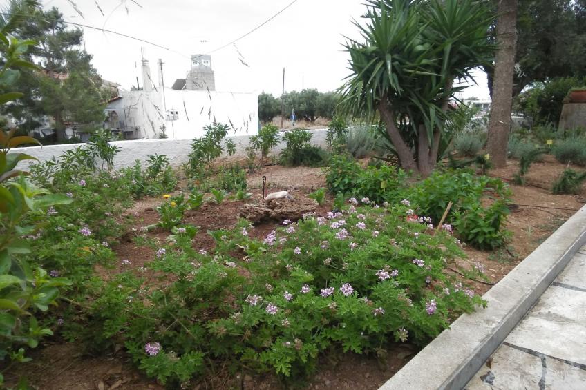 Wohnung mit Meerblick, Kreta, Ierapetra - foto 28