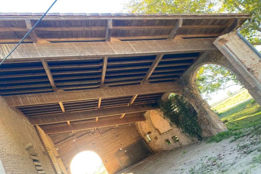 Les jardin de l'Oasis - foto 33