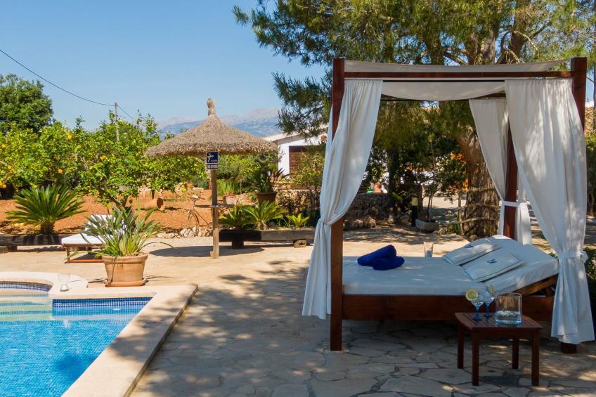 Mulet Llubi - foto 14