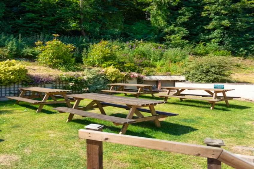 River Wye Lodge - foto 24